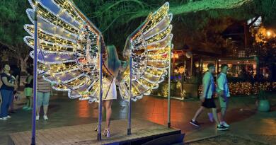 Экскурсия из Севастополя: Летний вечер в Ялте фото 16168