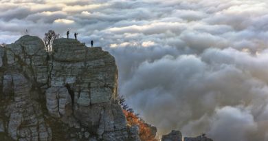 Авто-пешеходная экскурсия из Севастополя (фото 12)