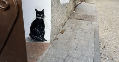 Авто-пешеходная экскурсия из Севастополя (фото 12)