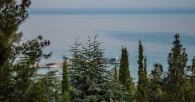 Экскурсия из Севастополя: Большое обзорное путешествие по Южному берегу Крым фото 10121