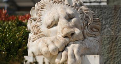 Экскурсия из Севастополя: Ялта и три дворца: Воронцовский, Ливадийский, Масс фото 15304