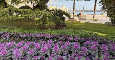 Авто-пешеходная экскурсия из Севастополя (фото 50)