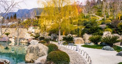 Экскурсии в `Японский сад "Шесть чувств" в отеле "Мрия"` из Паркового