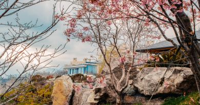 Экскурсии в Японский сад "Шесть чувств" в отеле "Мрия" из Паркового 2024