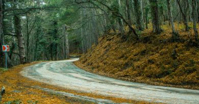 Авто-пешеходная экскурсия из Севастополя (фото 5)