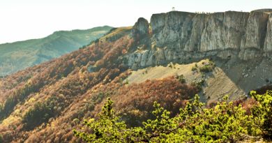 Экскурсии в `Крымский природный заповедник` из Паркового